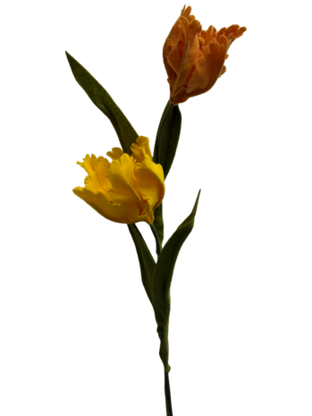 DIY Pakket Parkiet tulpen, Geel/Saffraan