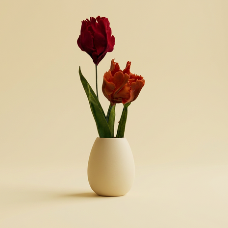 DIY Pakket Parkiet tulpen, Rood/Baksteen