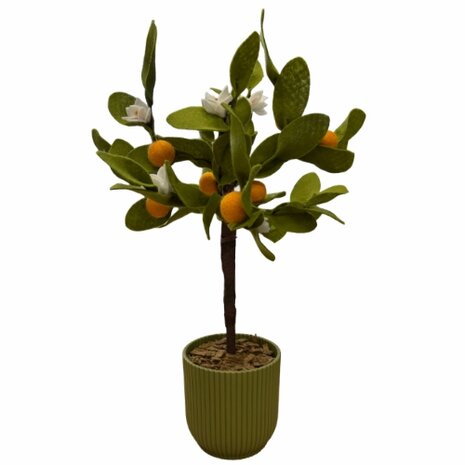 DIY Pakket Plant, Sinaasappelboom
