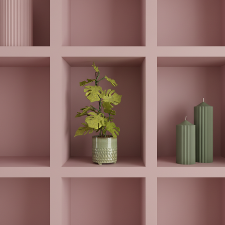 DIY Pakket Plant, Monstera