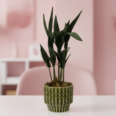 DIY Pakket Plant, Mini Palm