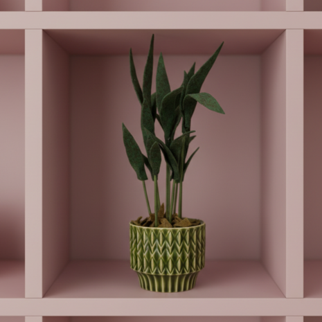 DIY Pakket Plant, Mini Palm
