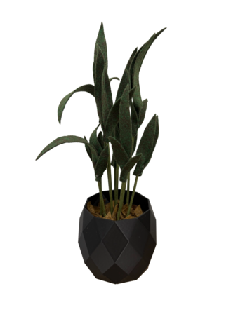 DIY Pakket Plant, Mini Palm