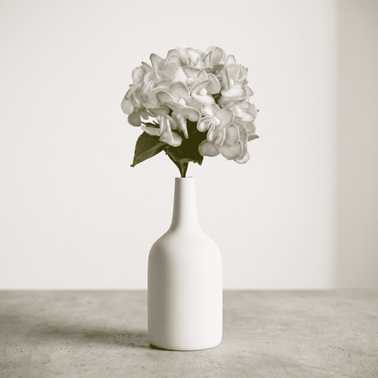 Hortensia, Wit