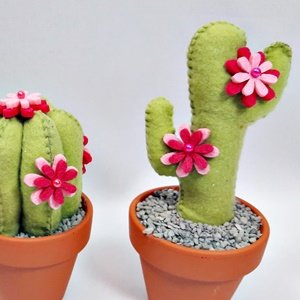 Cactus van vilt Cactus van vilt