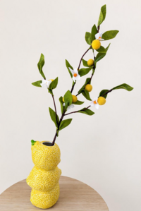 DIY inspiratie: Citroentak