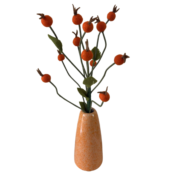 DIY inspiratie: Rozenbottel tak!