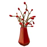 DIY Pakket, Rozenbottels Rood