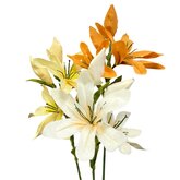 DIY Pakket, Lelies, Saffraan, Zacht Geel & Crème