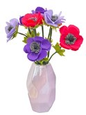 DIY Pakket, Vilt Anemonen ​​​​​​​Lila/Fuchsia & Paars