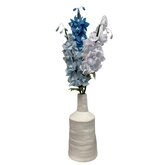 DIY pakket Delphinium/Ridderspoor Zacht Blauw/Hemel Blauw & Wit