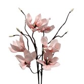 DIY Pakket, Magnolia