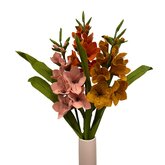 DIY Pakket Gladiolen Saffraan Gemêleerd/Baksteen & Antiek Roze