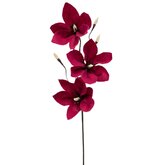 DIY Pakket, Magnolia, Rood/Roze