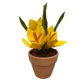 DIY Pakket, Krokus Geel in terracotta potje