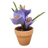 DIY Pakket, Krokus Lila in terracotta potje