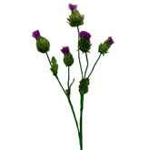 DIY Pakket, Mix & Match!! Distel