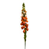 DIY Pakket, Mix & Match!! Vingerhoedskruid