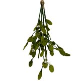 DIY Pakket Mistletoe