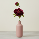 DIY Pakket, Mix & Match!! Pioenroos, Cyclaam Roze/Rood