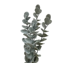 DIY Eucalyptus takken DIY Eucalyptus takken