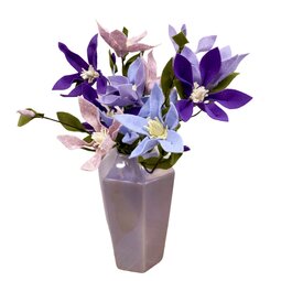 DIY Pakket, Clematis ​​​​​​​Lila/Violet gemêleerd/ Lavendel gemêleerd & Paars DIY Pakket, Clematis ​​​​​​​Lila/Violet gemêleerd/ Lavendel gemêleerd & Paars