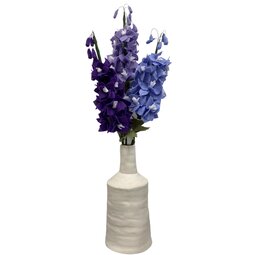 DIY pakket Delphinium/Ridderspoor Paars/Lila & Lavendel Gemêleerd DIY pakket Delphinium/Ridderspoor Paars/Lila & Lavendel Gemêleerd
