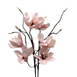 DIY Pakket, Magnolia DIY Pakket, Magnolia