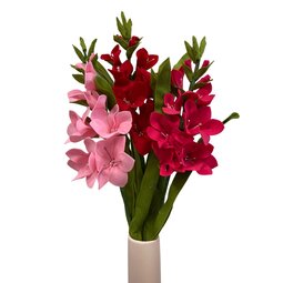 DIY Pakket Gladiolen Rood/Roze & Fuchsia DIY Pakket Gladiolen Rood/Roze & Fuchsia