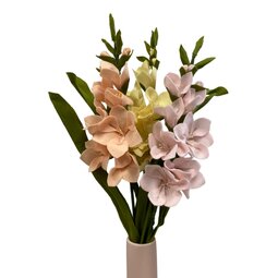 DIY Pakket Gladiolen Zacht Geel/Zacht Roze & Abrikoos DIY Pakket Gladiolen Zacht Geel/Zacht Roze & Abrikoos