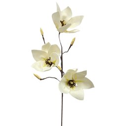 DIY Pakket, Magnolia, Crème/Geel DIY Pakket, Magnolia, Crème/Geel