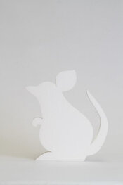 Muis, verschillende afmetingen