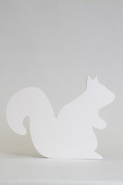 Eekhoorn, verschillende afmetingen