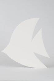 Maanvissen, verschillende afmetingen