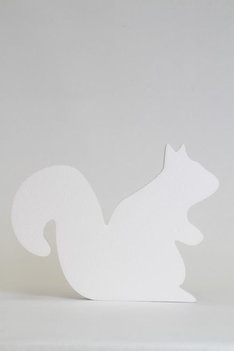 Eekhoorn, verschillende afmetingen