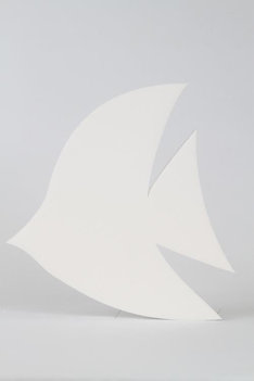 Maanvissen, verschillende afmetingen